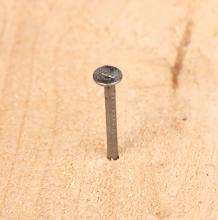 Common Nail